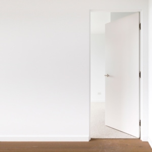 EzyJamb Frameless Door Jamb