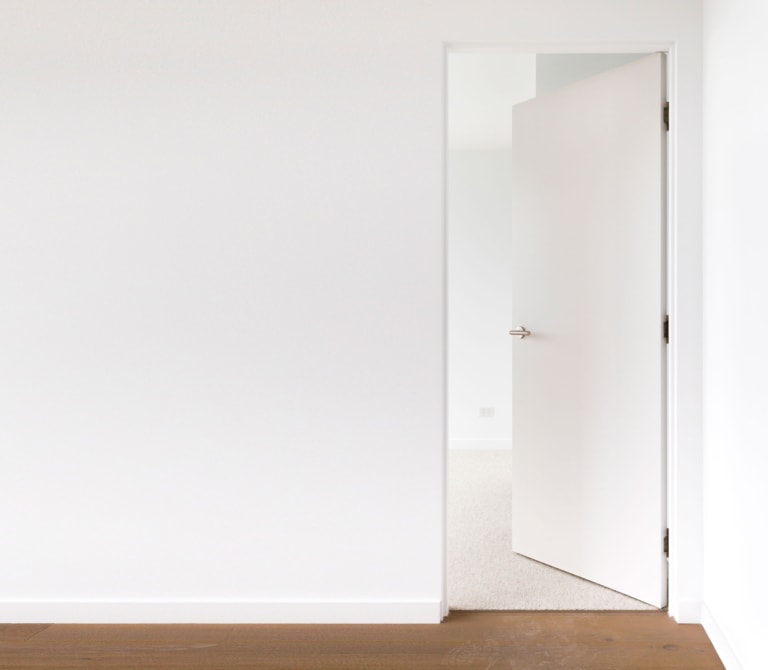 EzyJamb ADX Depot Concealed Frameless Door Jamb